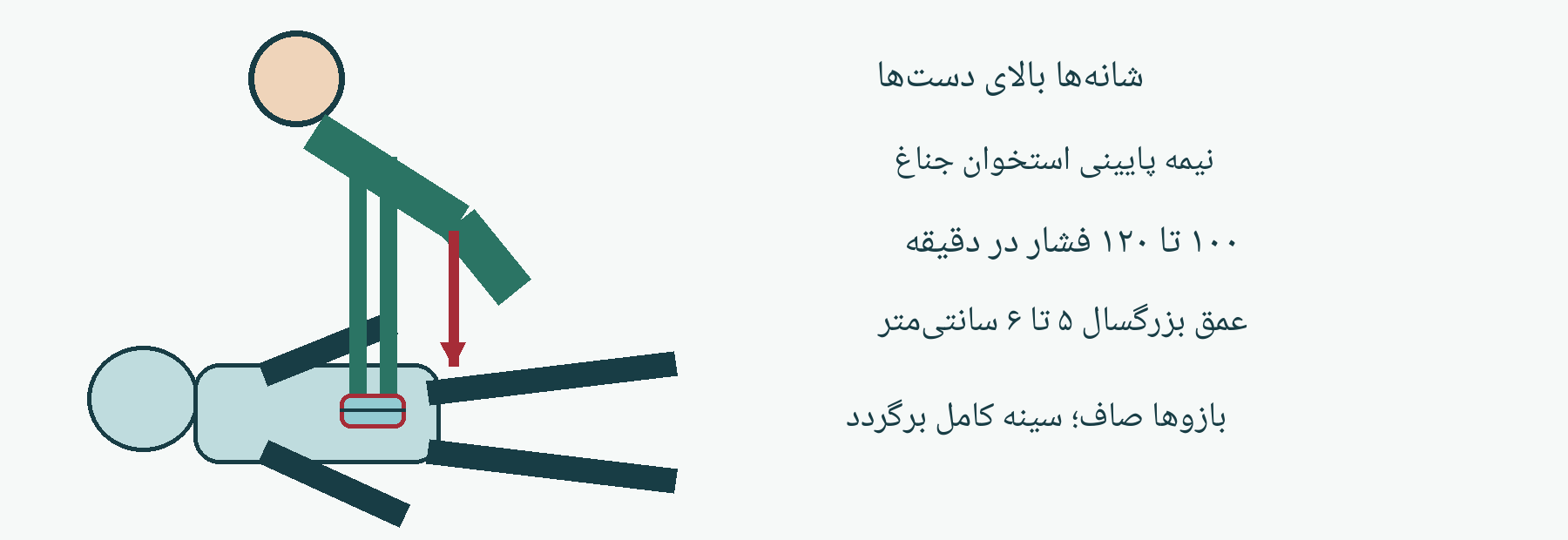 طرح آموزشی احیای بزرگسال بیپاسخ